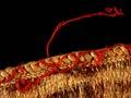 Pākē woven with moss