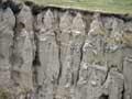 Loess deposits, Banks Peninsula