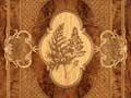 Fern album 