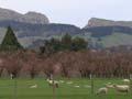 Te Mata Peak