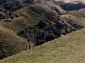 Central Otago
