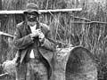 Whitebaiting camp 