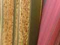 Coloured flaxes