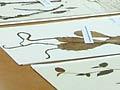 Cheeseman Herbarium 