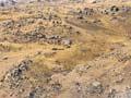 New Zealand's driest soils 