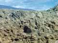 Semi-arid soil 
