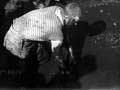 Pit digging, Northland, 1911