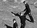 Aerial photo of a hillside with a line of people on foot stretched across it searching