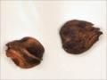 Silver and red beech seeds