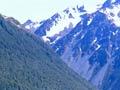 Beech forest on steep slopes