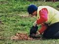 Conservation volunteers