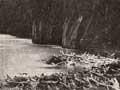 Whanganui River 