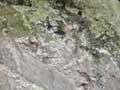 Glacial erratic