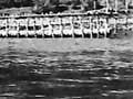 Pā auroa eel weir