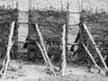 Utu piharau (lamprey weir)