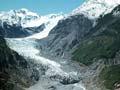 Fox Glacier
