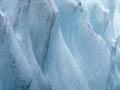 Tourists, Franz Josef Glacier