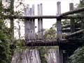 Remains of wooden dam