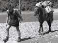 Man walking a horse laden with bags over a stony river bed