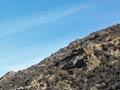Grey scrub, Central Otago