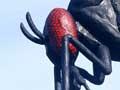 Giant sandfly