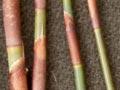 Giant cane rush