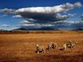 Central Otago drought, 2003