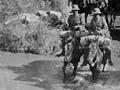 Horses in the South African War
