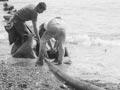 Cook Strait cable