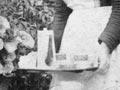 The general servant