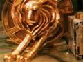 Saatchi & Saatchi awards