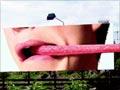 Mars Bar billboards