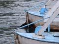 Tuapeka Mouth punt