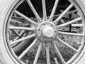 Early motoring family