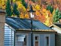 Autumn in Arrowtown