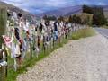 Bra fence near Cardrona