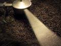 Coffee roaster