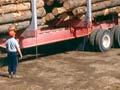 Logging truck