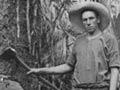 Logging native bush
