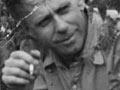 Frank Sargeson’s garden