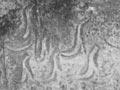 Interactive: Seal carving