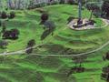 Maungakiekie (One Tree Hill)