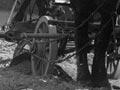 Street building, late 19th century
