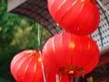 Chinese Lantern Festival, Auckland, 2009