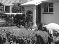 Men in the suburbs, 1950s