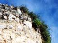 Lime kiln