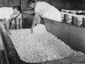 Making cheese