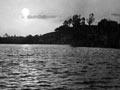 Cabbage Tree Swamp