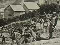 Bell Hill, Dunedin