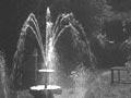 Ngaere Gardens, about 1914